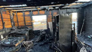 Третьеклассник спалил дом в Удмуртии