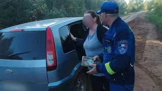В лесу Красногорского района потерялись пять человек
