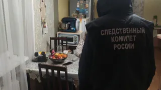 Директора образовательного учреждения из Завьяловского района подозревают в мошенничестве