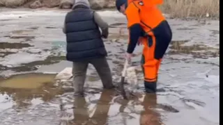 Спасатели вытащили завязшего на берегу Воткинского пруда подростка
