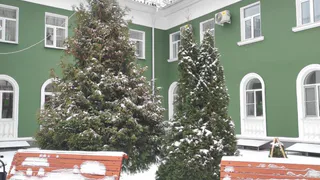 Погода в Глазове на 1 декабря