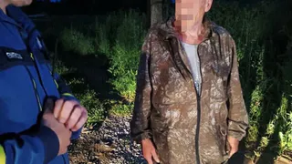 69-летний грибник потерялся в лесу Воткинского района