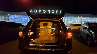 В Удмуртию впервые ввезли эмбрионы овец из Африки