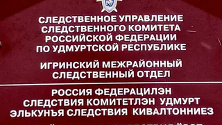 В Игре две местные жительницы обвиняются в мошенничестве в особо крупном размере