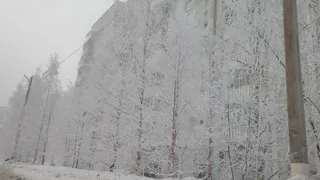 В Удмуртии ожидается ухудшение погодных условий с выпадением снега