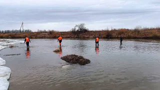 Продолжаются водолазные поиски ребенка на реке Сива