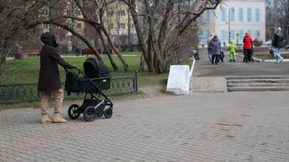 В роддоме Глазова впервые с 2024 года родилась двойня