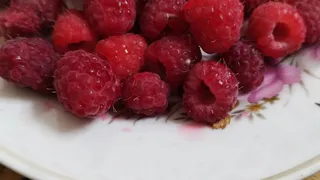Малине в "майское окно" - важнее чернозёма: всего 2 ложки под куст и кусты будут ломиться от тяжести крупных и сахаристых ягод