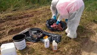 В Завьяловском районе найдены трупы коз и дикого кабана