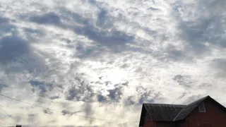 В эти выходные в Удмуртии дождей не ожидается