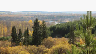 В начале недели в Удмуртии сохранится солнечная погода