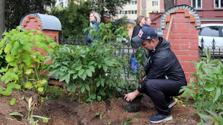 Новое городское семейное пространство с сиреневым садом появится в Глазове