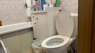 Ходить в туалет на унитаз больше не в моде: новый туалетный тренд скоро дойдет и до России