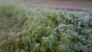 Погода в Глазове на 1 октября