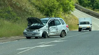 В Глазовском районе пчела стала виновницей ДТП
