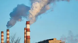  С начала года 55 организаций Удмуртии привлечено к ответственности за нарушение природоохранного законодательства