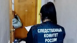 В Удмуртии присяжные признали женщину виновной в убийстве бывшего мужа