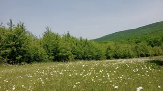 Россию ожидает аномальная жара, какой не было сто лет: на пороге супер-Эль-Ниньо