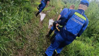 Спасатели в Завьяловском районе вытащили увязшего в болоте 85-летнего грибника