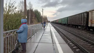"Соседи не пустили поесть на нижней полке. Не стала спорить, но отплатила сполна": романтика российских поездов. 5 историй путешественников