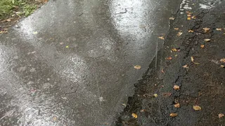 Погода в Глазове на 23 августа