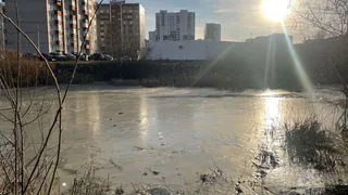 Двое детей чуть не погибли в Ижевске на тонком льду