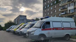 Хирурги центра Мешалкина спасли от разрыва аорты наездницу из Удмуртии, придавленную лошадью