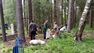 На сельских кладбищах навели порядок