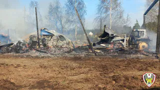 Пять кошек и девять куриц погибли на пожаре в Малопургинском районе