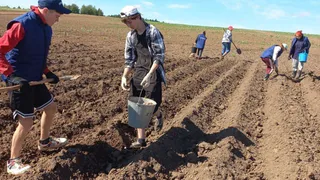 54 подростка из Глазовского района нашли подработку на лето.