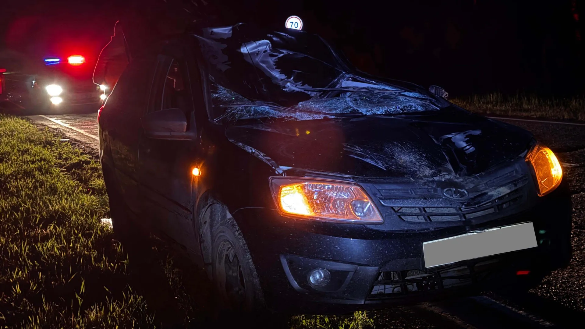 В Удмуртии водитель «Лады Гранты» сбил лося на трассе «Ижевск-Ува», пострадали два человека