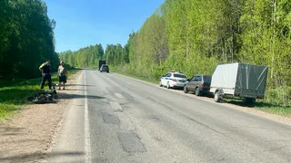 В Глазове врачи спасают мужчину после падения с электровелосипеда