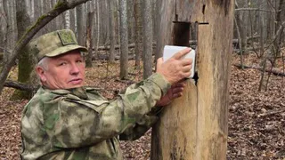 В Удмуртии организуют лесные столовые для диких животных