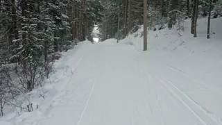 Погода в Глазове на 18 февраля
