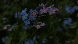 Сегодня в Удмуртии пройдут локальные кратковременные дожди, в отдельных районах с грозами и градом