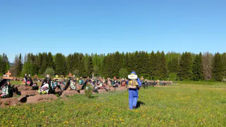 Городское кладбище в Глазове обработали от клещей