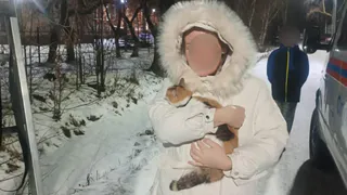 Кота по кличке Мурзик спасли в Глазове