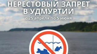 Рыбакам Удмуртии напоминают о нерестовом запрете