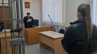 Суд ограничил свободу жительницы Удмуртии за покупку прав в интернете
