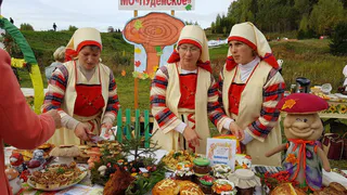 В Ярском районе пройдет культурно-гастрономический фестиваль "Губи Фест" (0+)