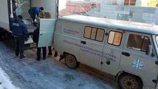 В Удмуртии поступила оральная вакцина для профилактики бешенства