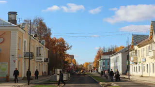 У глазовского лося появились рога