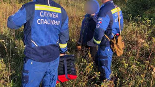 Спасатели вывели пенсионерку из леса в Глазовском районе