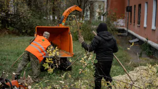 В Глазове продолжаются работы по обрезке деревьев и кустарников