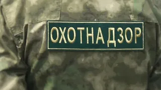 С начала года охотнадзор Удмуртии провел более двух тысяч рейдов