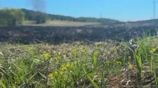 Пенсионер из Удмуртии едва не спалил деревню, опаливая курицу