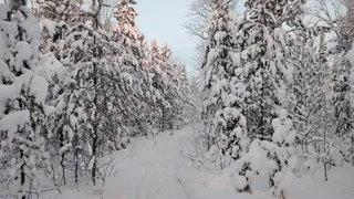 Удмуртия вошла в число самых привлекательных зимних туристических направлений России