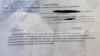 Жителю Глазовского района отказали в вырубке леса из-за отсутствия "в лесничестве лесных насаждений"