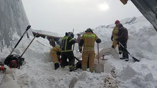 Тридцать коров оказались под снежным завалом в Удмуртии