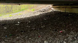 Глазовчанка самостоятельно прибрала территорию у моста через Чепцу